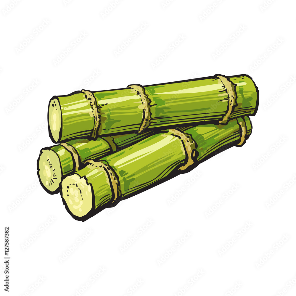 5000 Sugar Cane Illustrations RoyaltyFree Vector Graphics  Clip Art   iStock  Sugar cane field Sugar spoon Bag of sugar