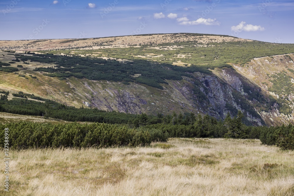 Fototapeta premium Mountain trail in Karkonosze