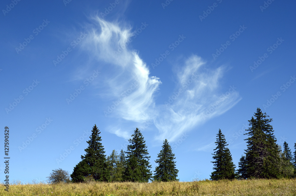 Nature, Clouds Nature, Clouds