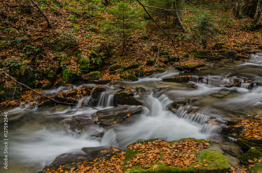 Naklejka premium Kaskady na potoku ,Beskid Sądecki.