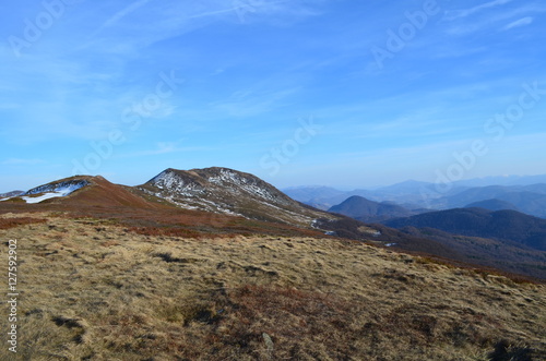 Tarnica