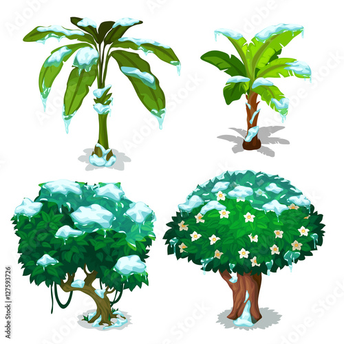 Four trees with green leaves under snow flakes