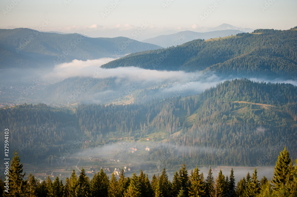 Obraz premium Morning with fog over mountain slopes, covered with spruce forest