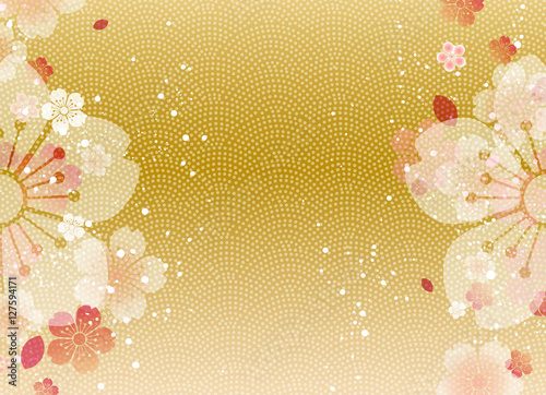 鮫小紋　年賀　フォーマル 