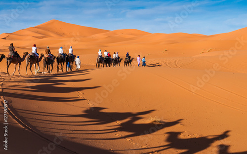 Karawane in den D  nen der Sahara bei Merzouga  Erg Chebbi   Marokko