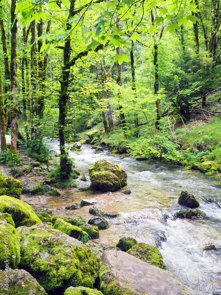 Fototapeta premium Waterfalls of Herisson in Jura France