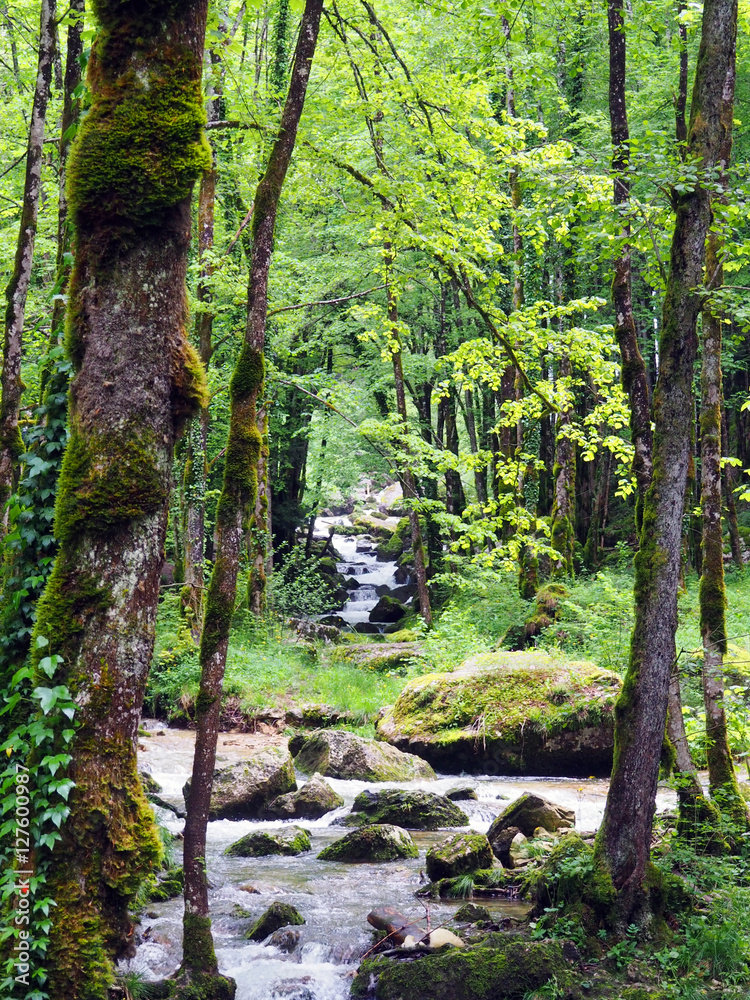 Obraz premium Waterfalls of Herisson in Jura France