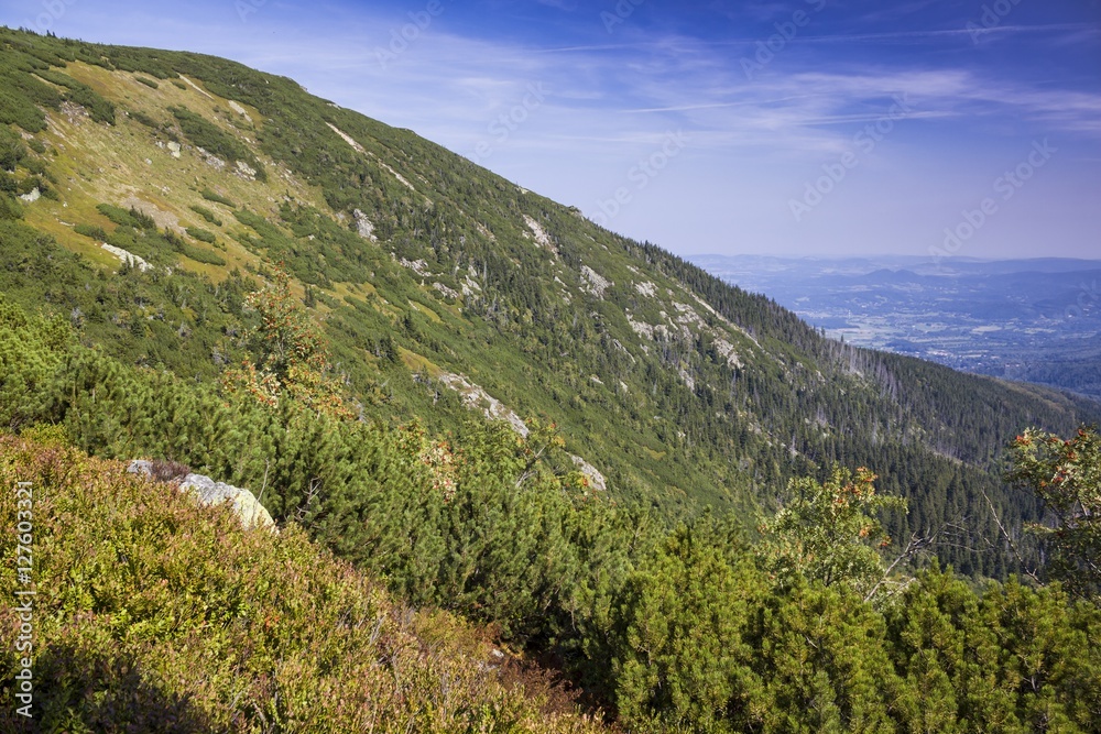 Fototapeta premium Mountain trail in Karkonosze