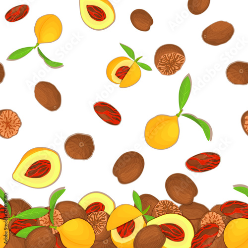 Fototapeta Naklejka Na Ścianę i Meble -  Vector illustration of falling nutmeg nuts. Background of a spicy nut. Pattern of a nutmeg fruit in the shell, whole, shelled, leaves appetizing looking for packaging design of healthy food