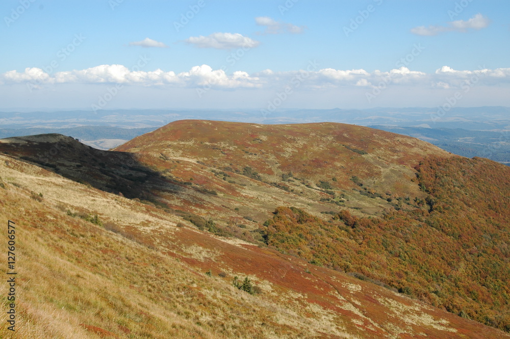 Fototapeta premium bieszczady