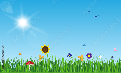 Spring Landscape