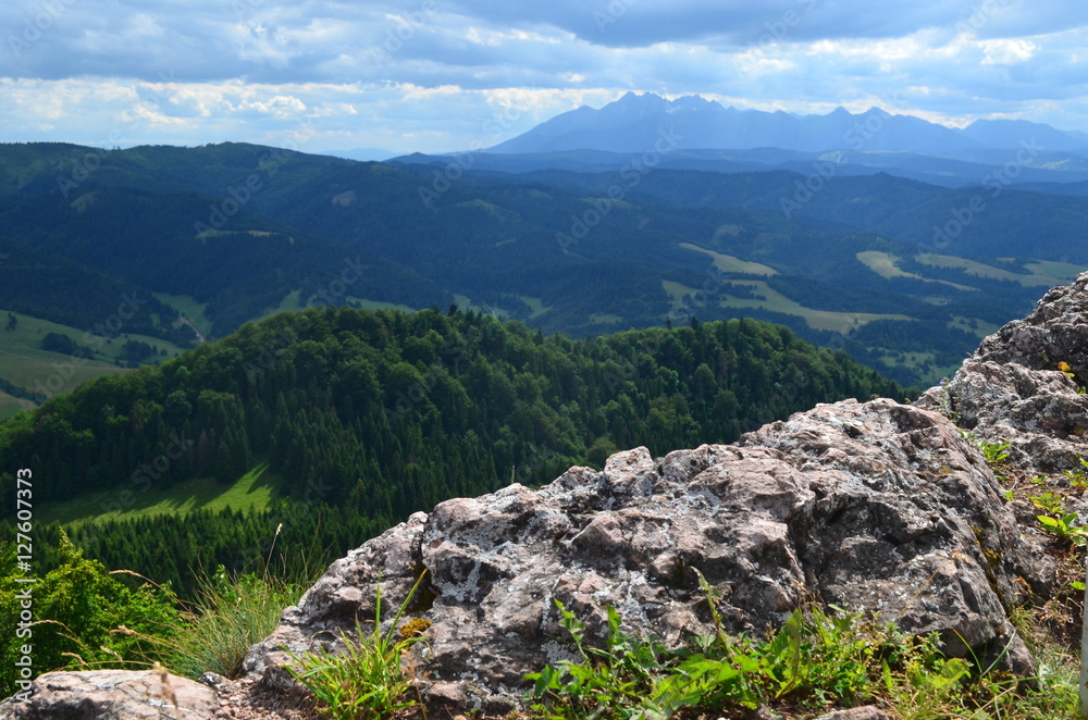 Fototapeta premium pieniny