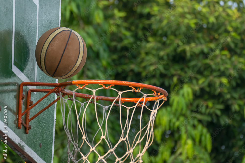 Basketball hoop in park