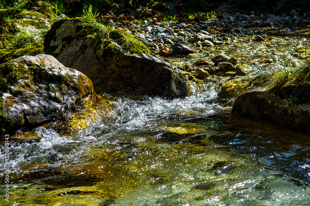 Fototapeta premium Bach mit schnell fließendem klarem Wasser