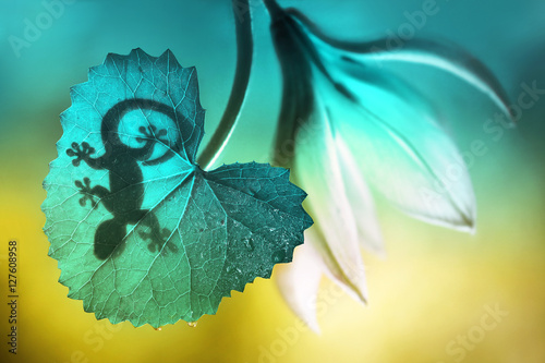Lizard shadow on green sheet close-up macro. Lizard and a flower on a beautiful soft turquoise and yellow background summer outdoors. Very nice stunning artistic image. Desktop wallpapers, postcard.