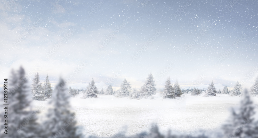 Fototapeta snow and winter landscape panorama