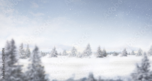 snow and winter landscape panorama © luckybusiness