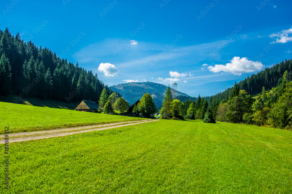 Einsamer Bauernhof in waldigem Tal in Österreich