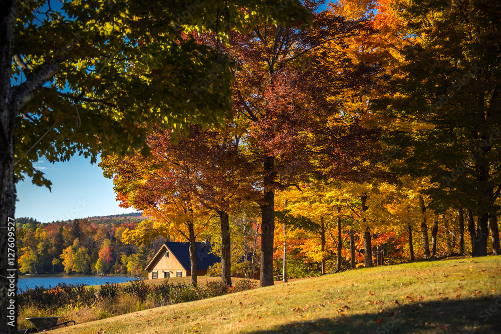 Fall day