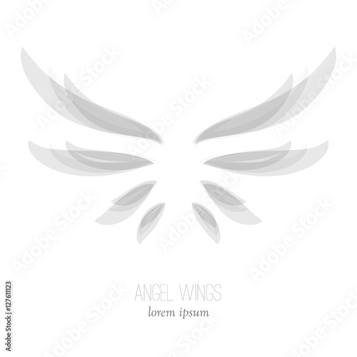 Elegant angel wings