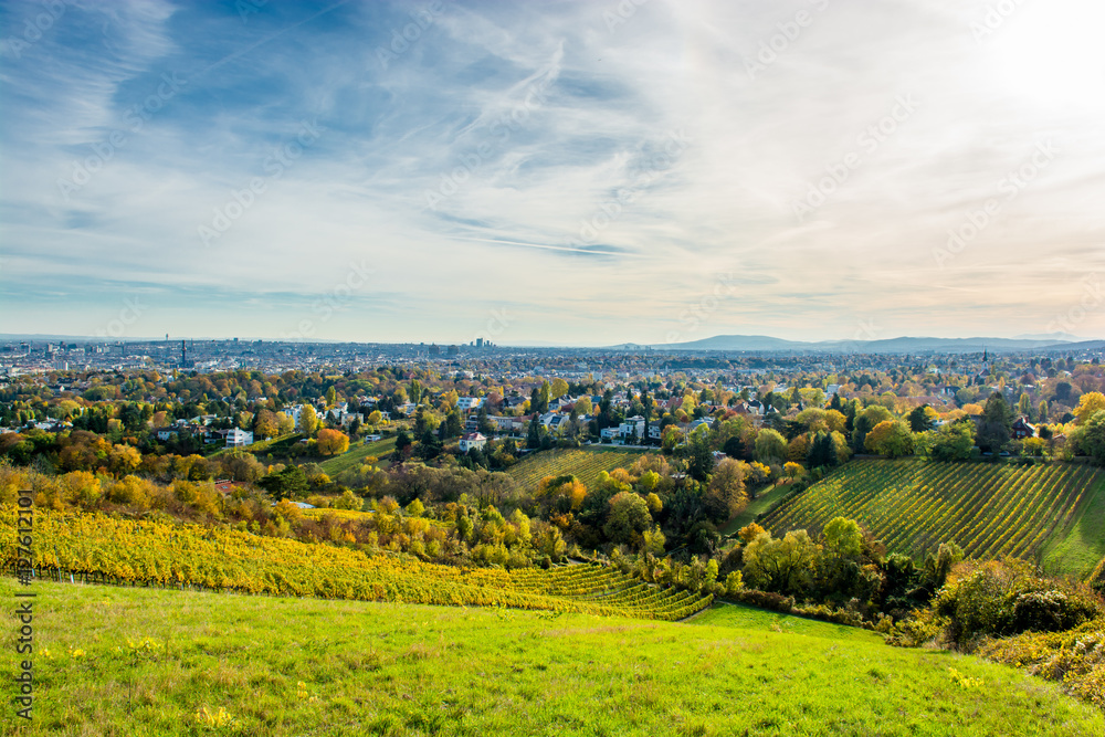 Weinberg im Herbst vor der Skyline von Wien in Österreich