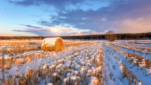 сельское поле со скошенной травой стогом сена и первым снегом, Россия, Урал осень
