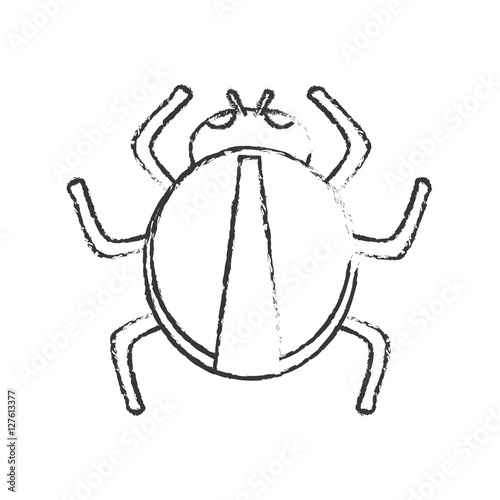 Bug icon. Insect pest bed infestation and parasite theme. Isolated design. Vector illustration