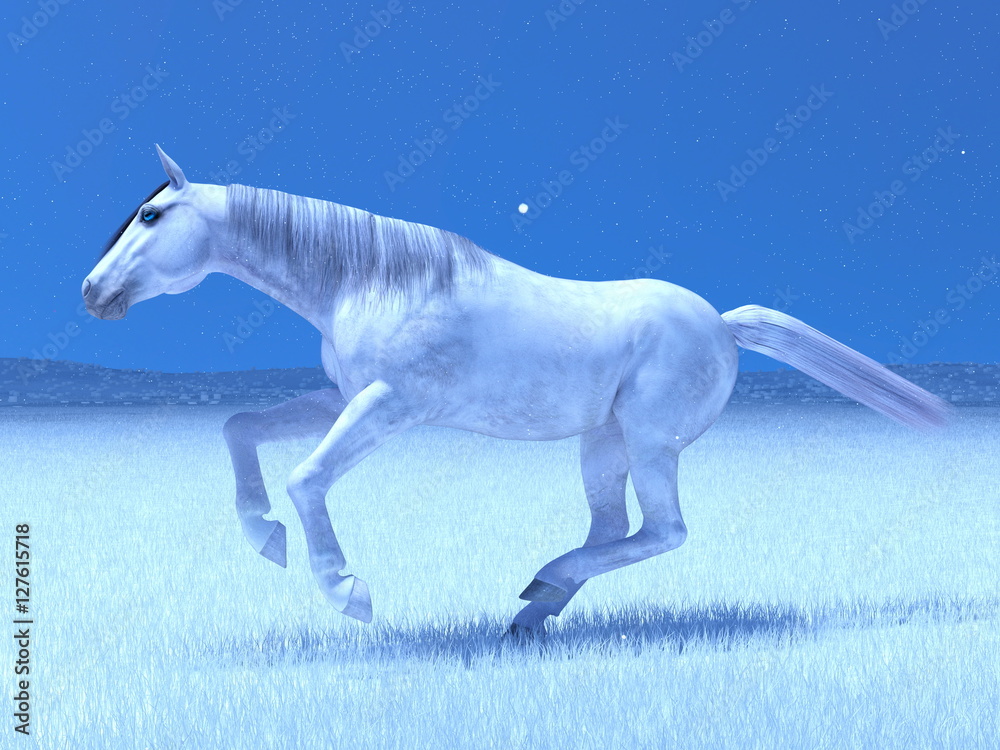 白馬 Stock イラスト Adobe Stock