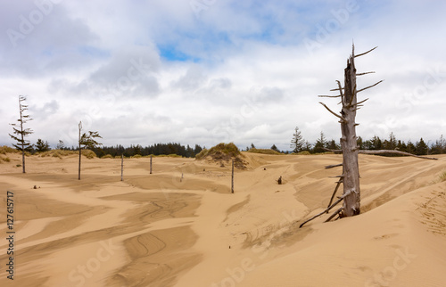Fototapeta Naklejka Na Ścianę i Meble -  Sand Dunes 6