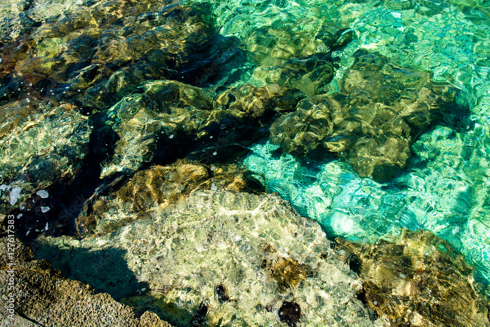 Fototapeta premium Klares Grünes Wasser an der Küste von Kroatien
