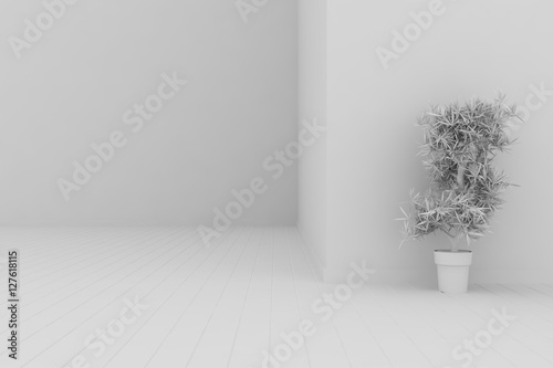 White room with flower