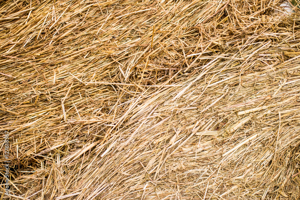 Hay bales texture background. Straw rolls Hay bales texture background. Straw rolls
