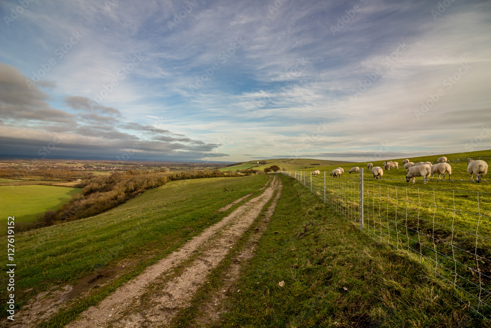 Footpath on Wolstonbury Hill, South Downs, Sussex, England taken on an autumn late afternoon, Footpath on Wolstonbury Hill, South Downs, Sussex, England taken on an autumn late afternoon,