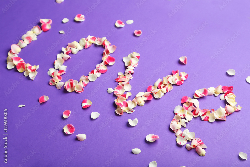 Rose petals on a purple background