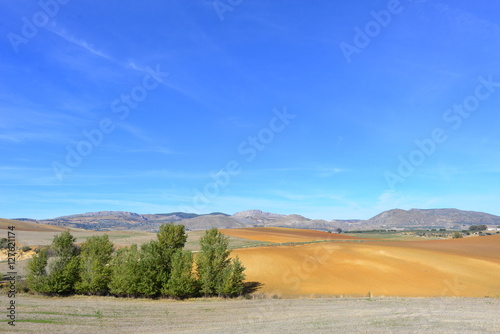 Spanien Anadalusien Ackerland