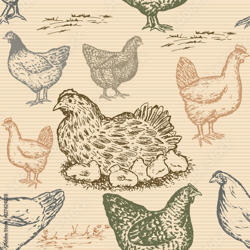 Hand drawn chicken farm seamless pattern in vintage style
