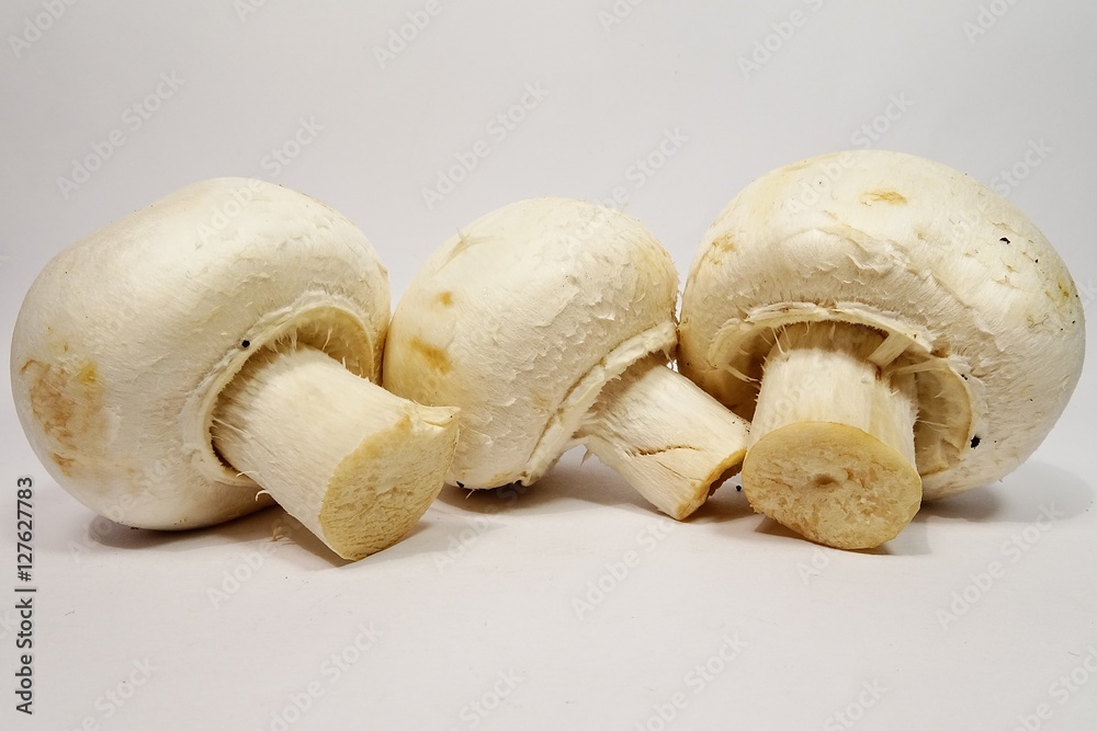 Champignon mushroom on white background Champignon mushroom on white background