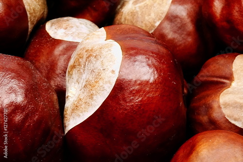 chestnuts background