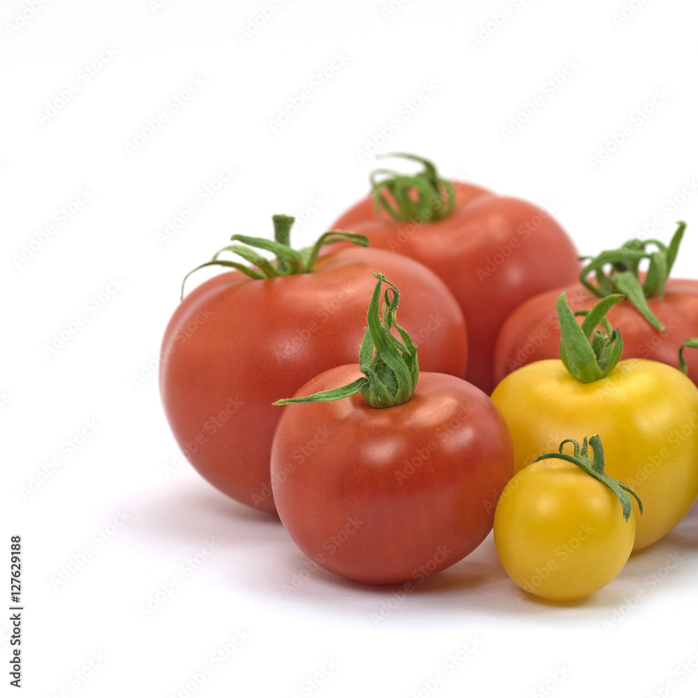 Tomaten, Solanum lycopersicum Tomaten, Solanum lycopersicum