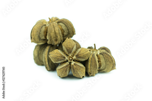 sacha inchi peanut seed isolated on white background