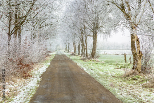 Frosty frisian winter road