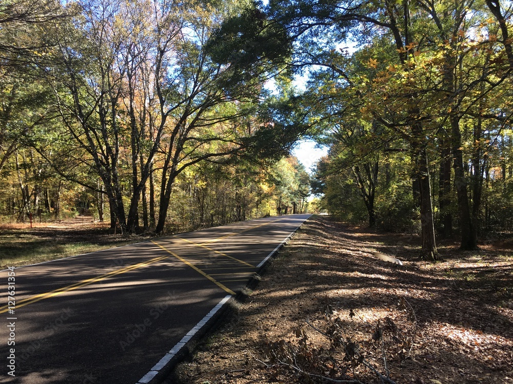 Scenic highway in fall in Mississippi Scenic highway in fall in Mississippi