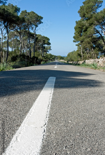 Road with stone walls  pine tress  Mallorca