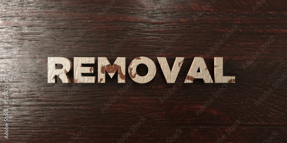 Naklejka premium Removal - grungy wooden headline on Maple - 3D rendered royalty free stock image. This image can be used for an online website banner ad or a print postcard.