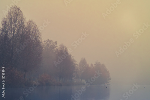 On the bank of a river in the fog in autumn