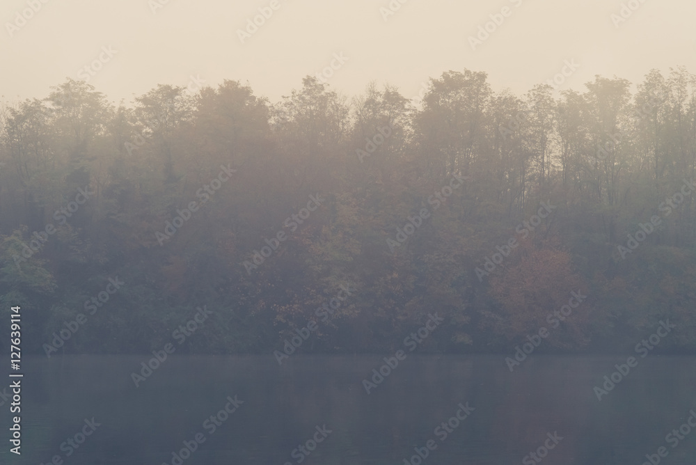 Quiet river and vegetation in the fog