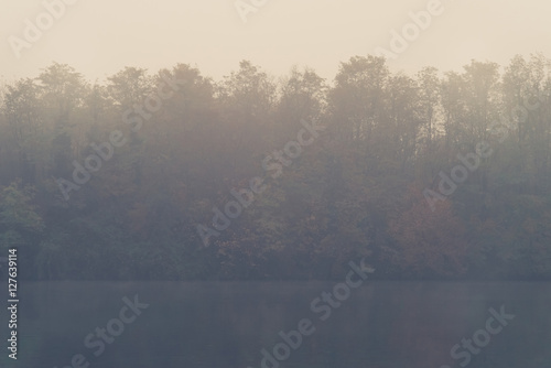 Quiet river and vegetation in the fog