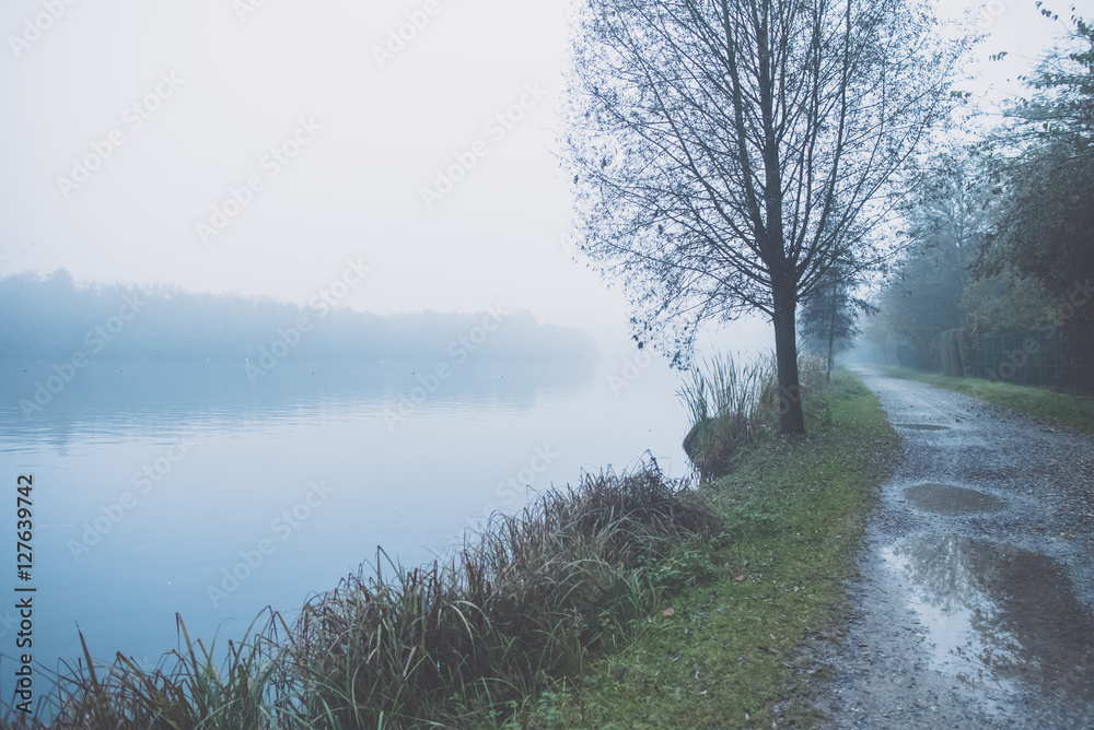 Trail near the bank of a river in the fog Trail near the bank of a river in the fog