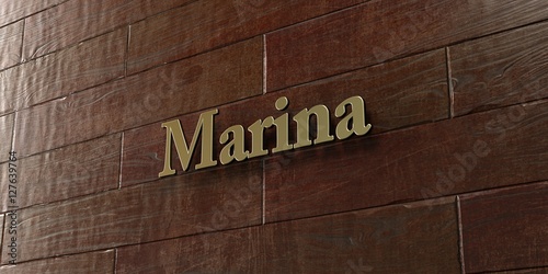 Marina - Bronze plaque mounted on maple wood wall - 3D rendered royalty free stock picture. This image can be used for an online website banner ad or a print postcard.