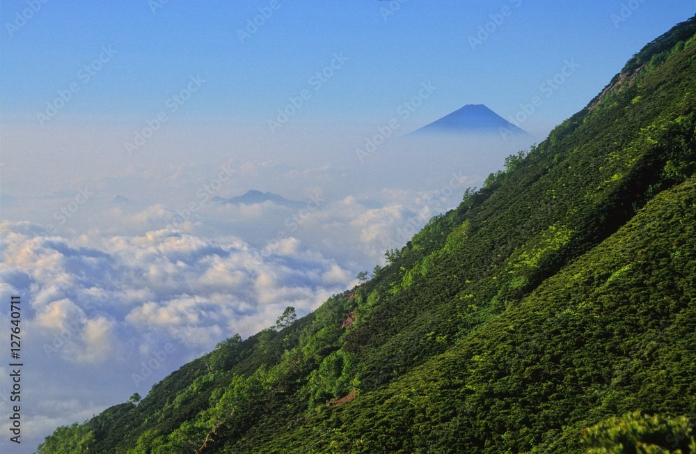 富士山 (八ヶ岳より)